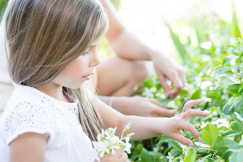 Enfant cuillant des fleurs - Terre Blanche